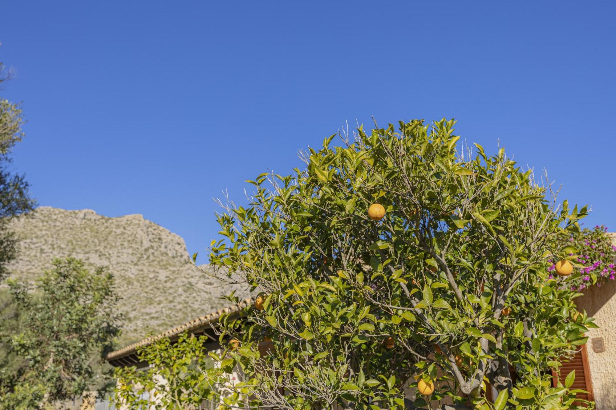 Casa Tonina Villa
